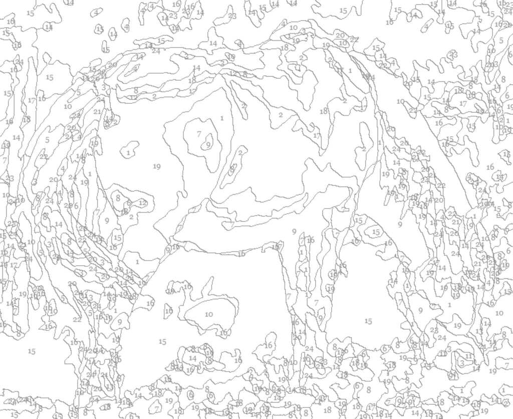 Riptide the Chincoteague Pony Paint by Number Kit for Adults or Advanced Artists