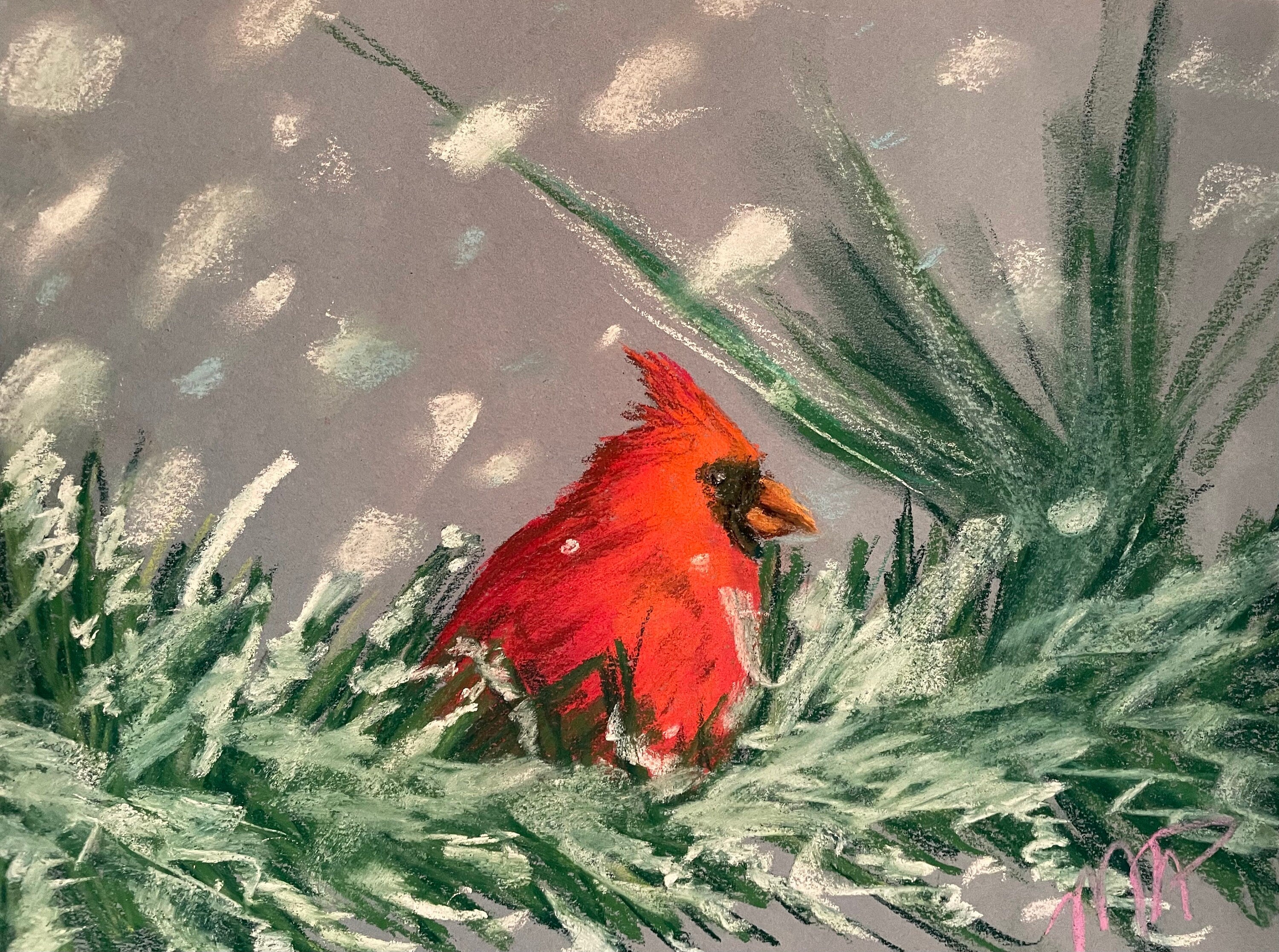 Winter Cardinal - Print