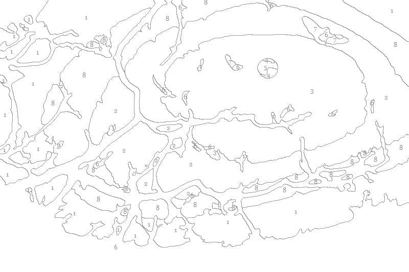 It’s Bats Yall! Paint by Number Kit -a Fun Fall Activity!