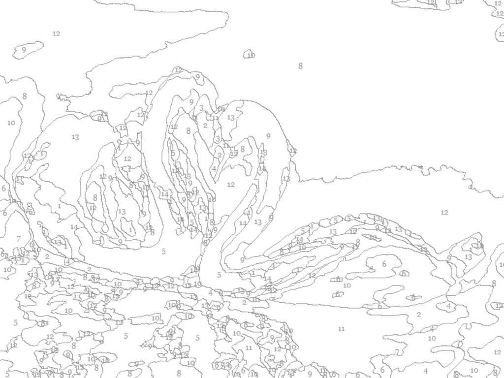 Swans Paint by Number Kit: Beginner Acrylic Art (8x10)