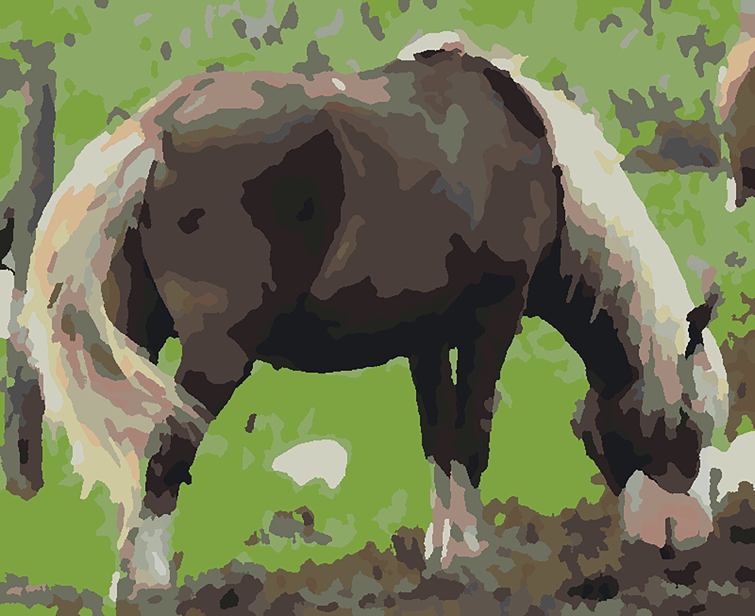 Riptide the Chincoteague Pony Paint by Number Kit for Adults or Advanced Artists