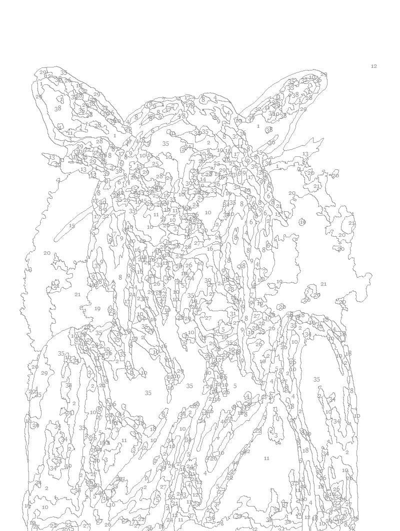 Moth Fairy Paint by Number Kit: Beginner Art Project