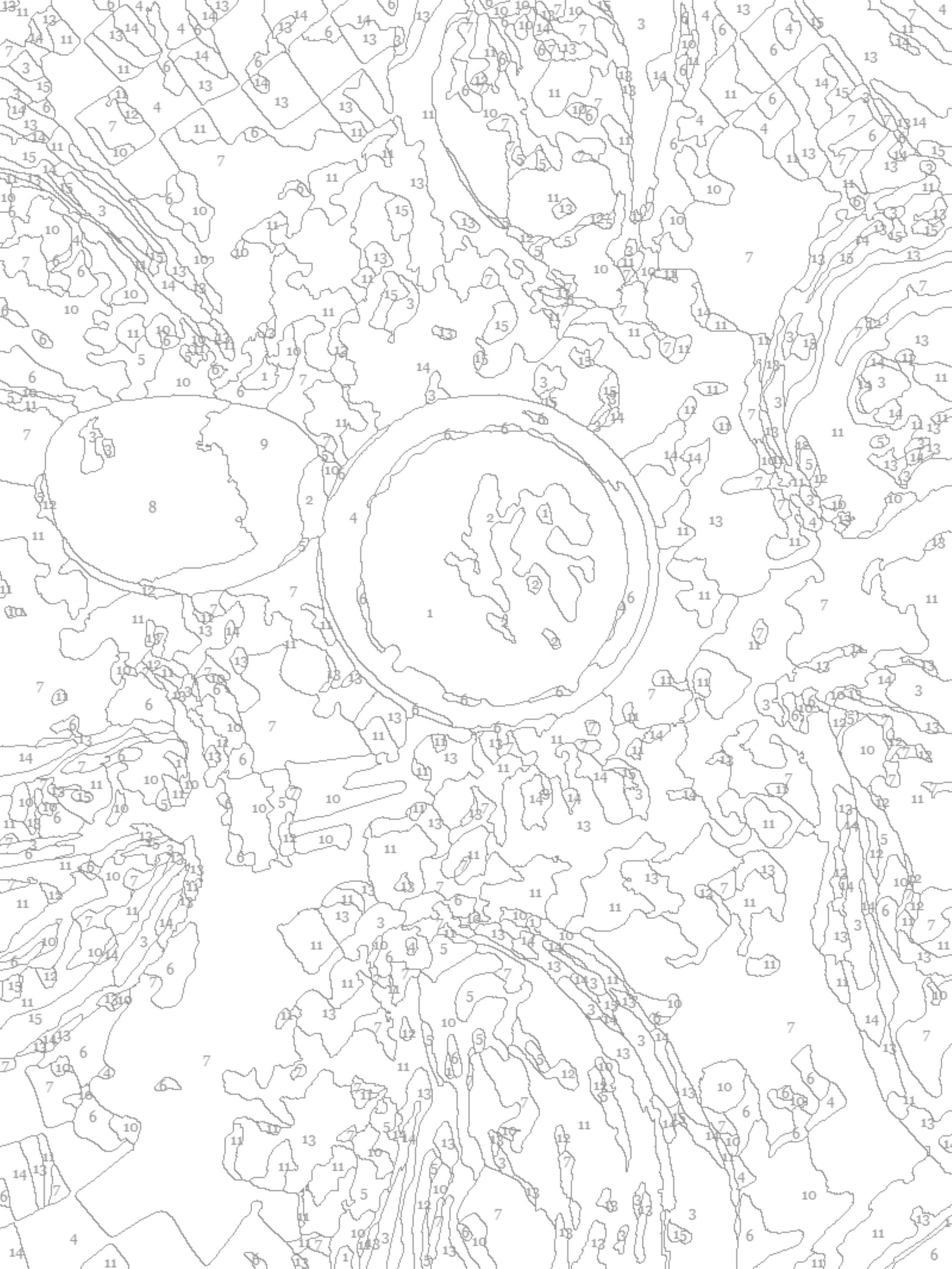 Oysters Paint by Number Kit: Beginner Art Project