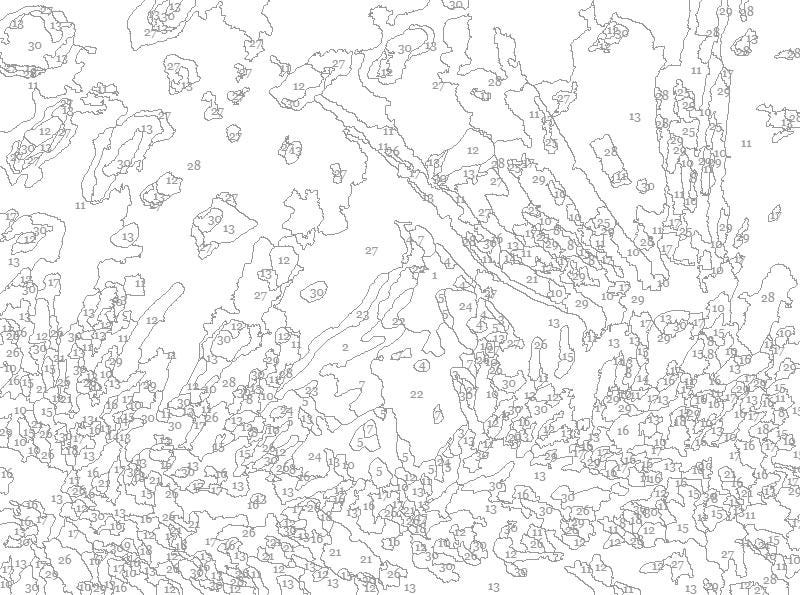 Cardinal Paint by Number Kit -a Fun Holiday Activity!