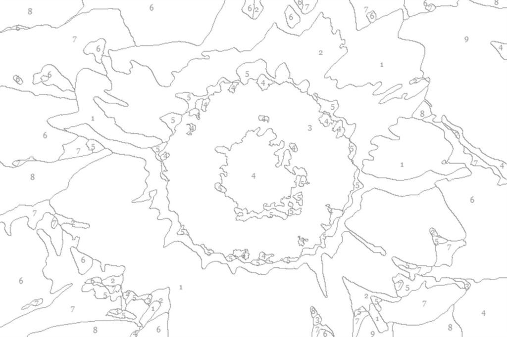 Sunflower Paint by Number Kit: Beginner Art Project