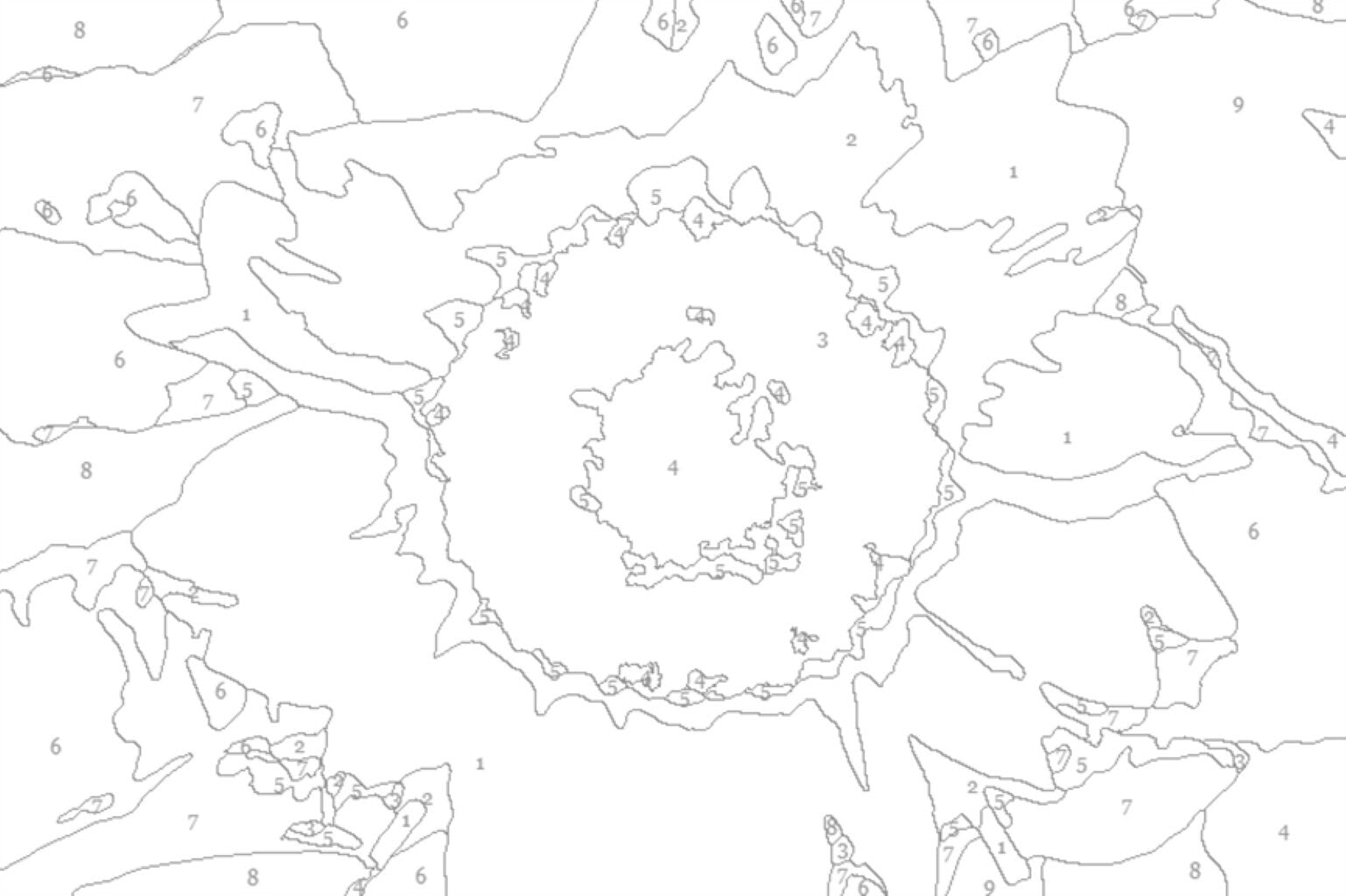 Sunflower Paint by Number Kit: Beginner Art Project