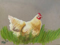 Chicken Art Print