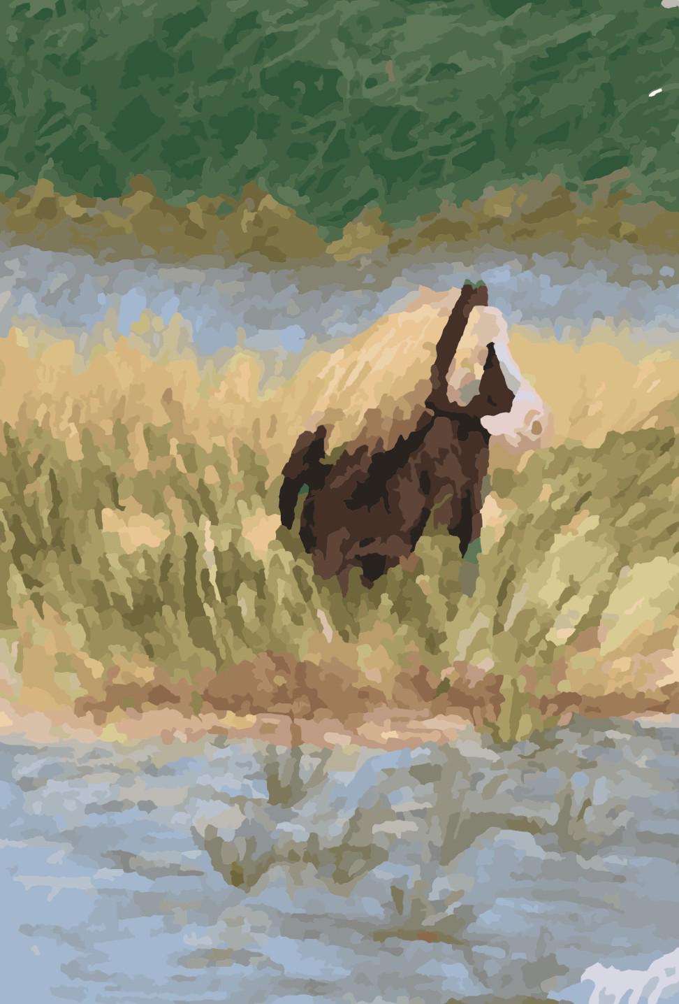 Riptide in the Reeds Paint by Number Kit for Adults or Advanced Artists