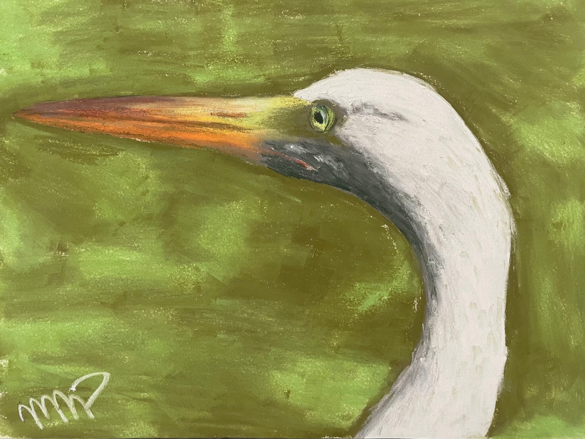 Pastel portrait of a great egret with a bright orange bill against a soft green marsh background.