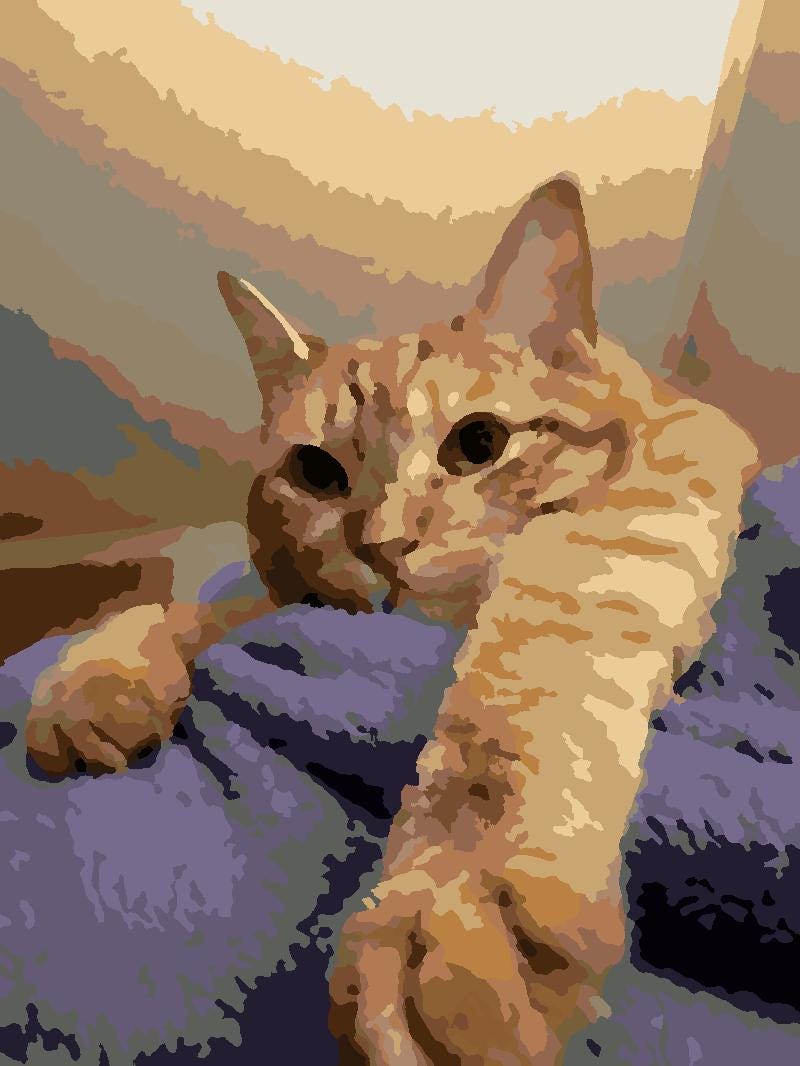 Orange Kitty Paint by Number Kit: Beginner Acrylic Art