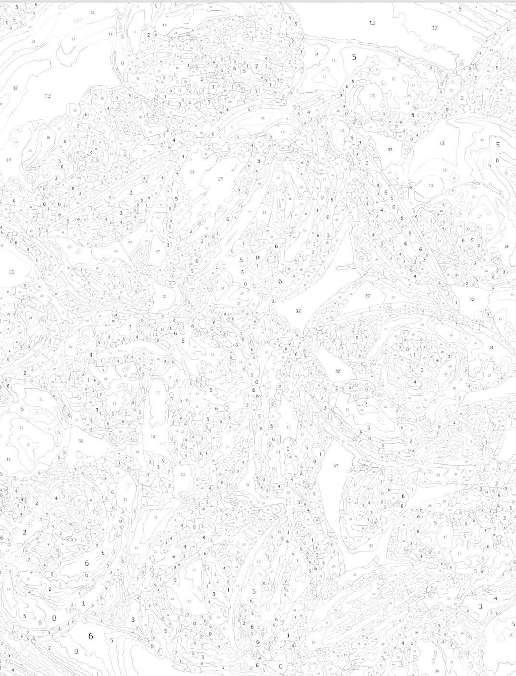 Steamed Clams Paint by Number Kit: DIY Art Project