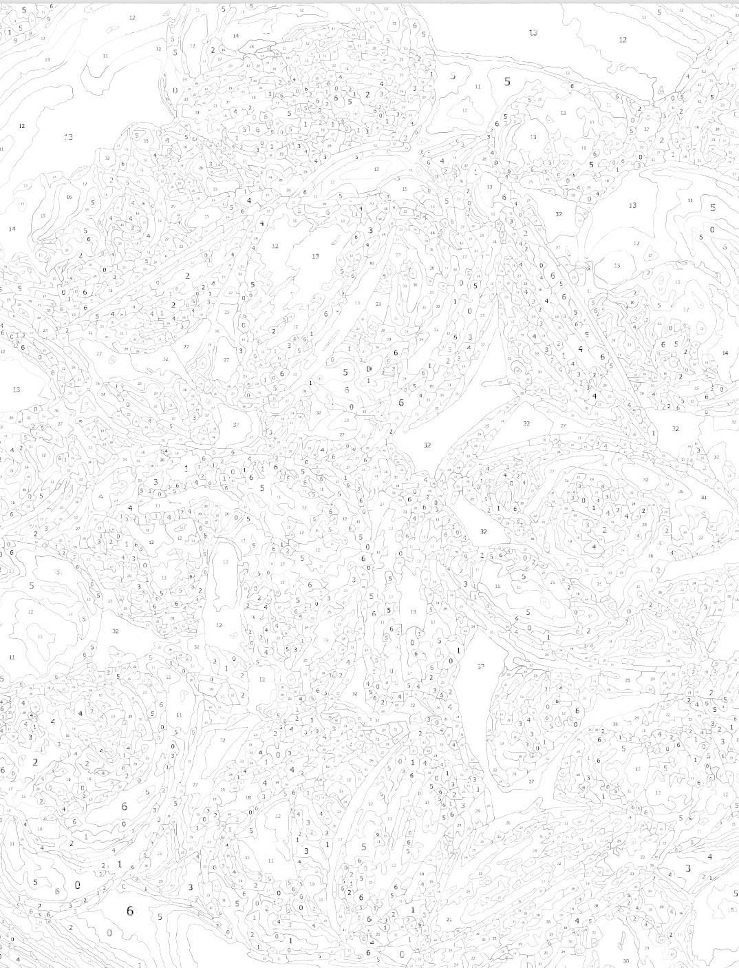 Steamed Clams Paint by Number Kit: DIY Art Project