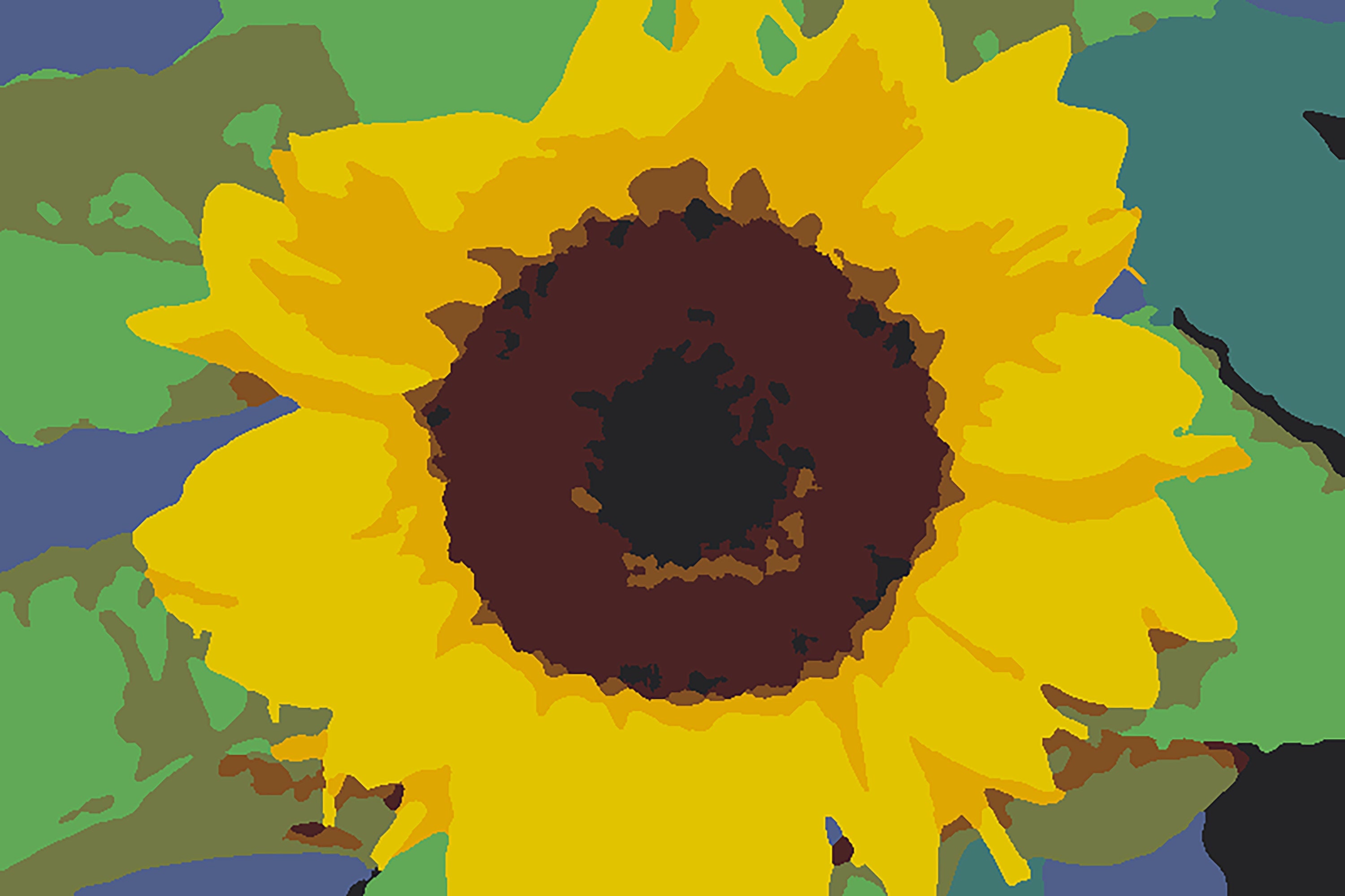 Sunflower Paint by Number Kit: Beginner Art Project