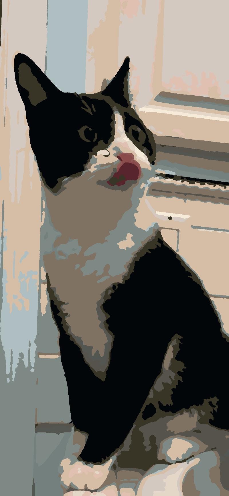 Tuxedo Kitty Paint by Number Kit: Beginner Art Project