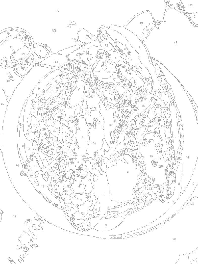 Lobstah Dinner Paint by Number Kit: Beginner Art Project