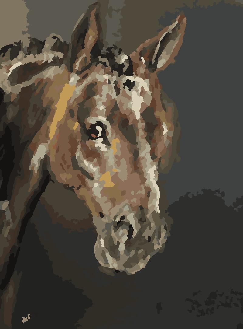 Seal Bay Thoroughbred Horse Paint by Number Kit for Adults or Advanced Artists