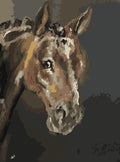 Seal Bay Thoroughbred Horse Paint by Number Kit for Adults or Advanced Artists