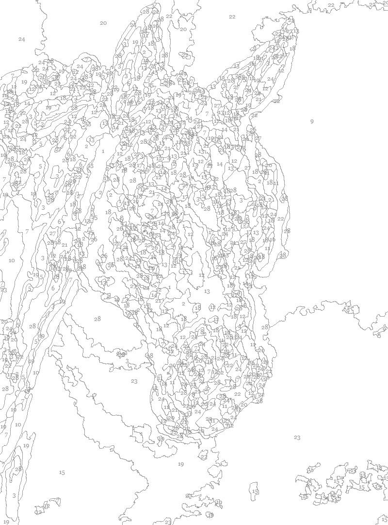 Seal Bay Thoroughbred Horse Paint by Number Kit for Adults or Advanced Artists