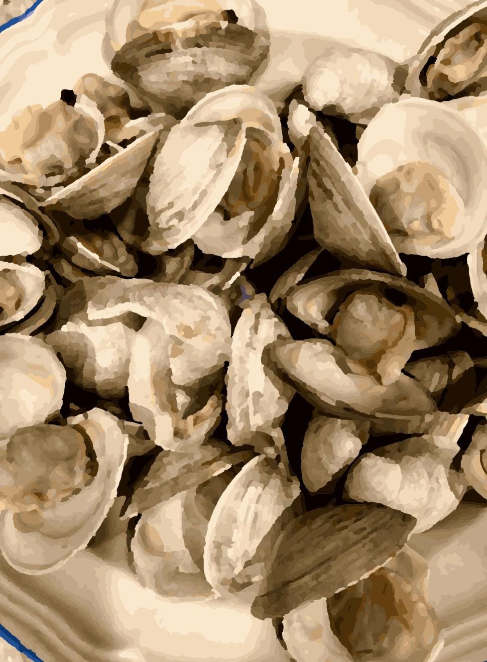 Steamed Clams Paint by Number Kit: DIY Art Project