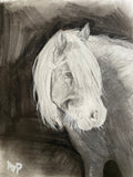 Riptide the Chincoteague Pony - Black & White Portrait