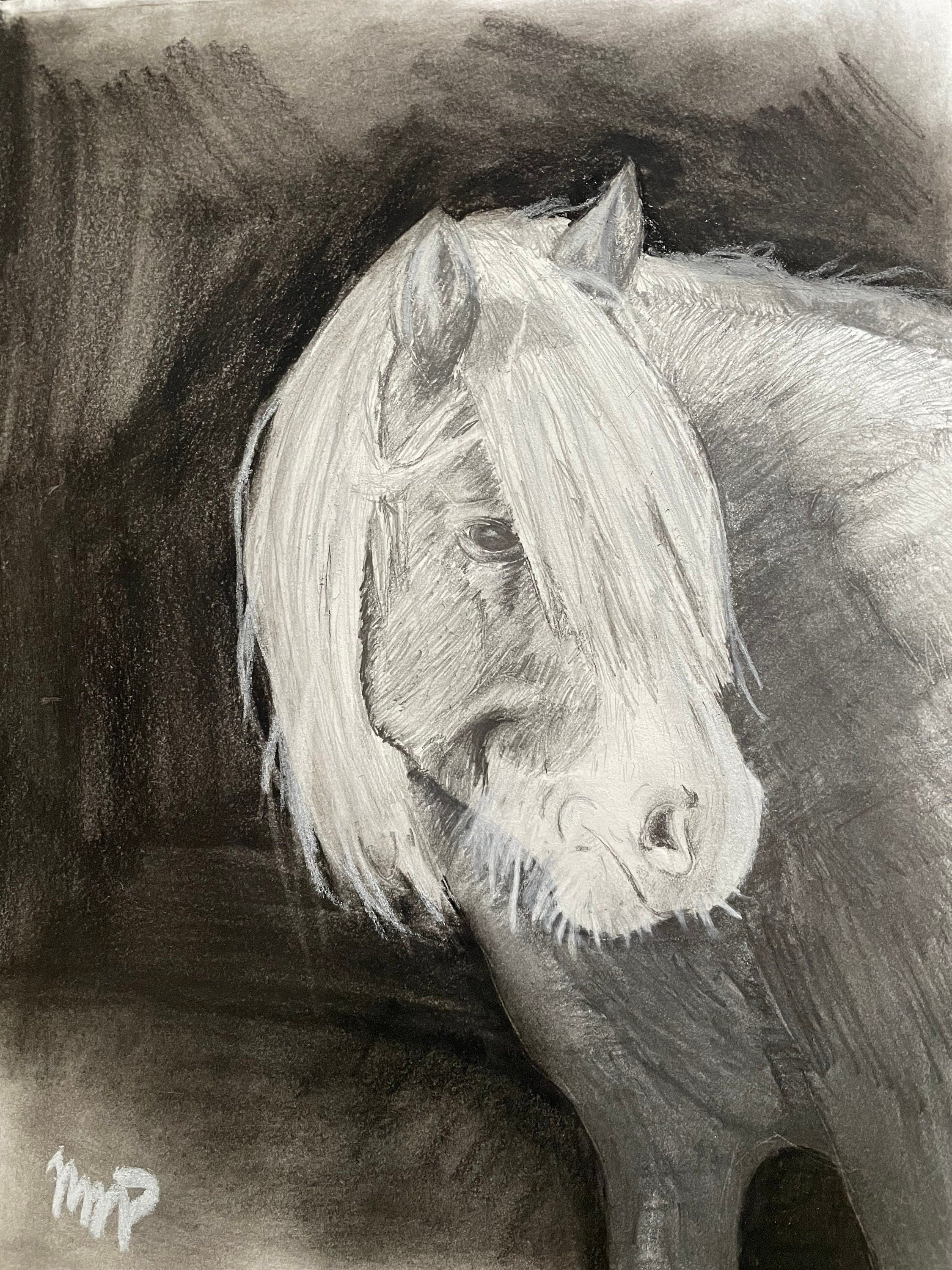 Riptide the Chincoteague Pony - Black & White Portrait
