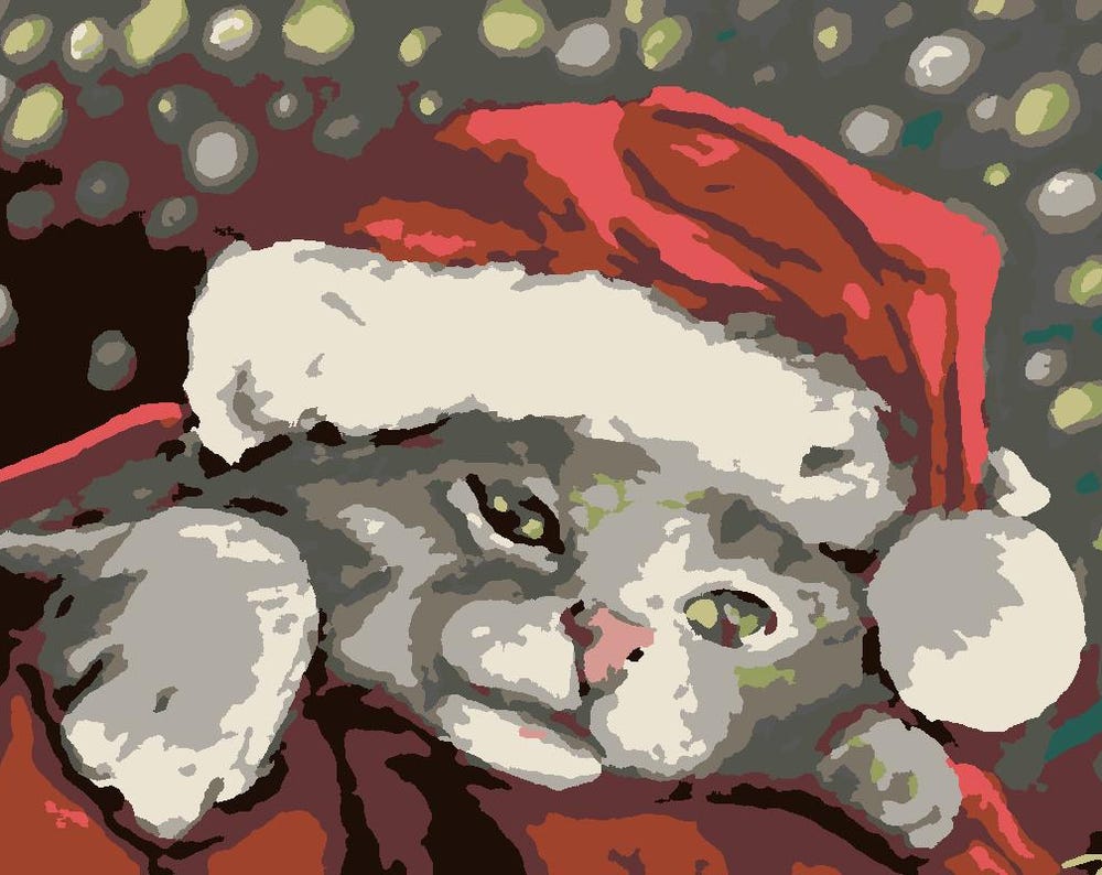 Santa Kitty Paint by Number Kit